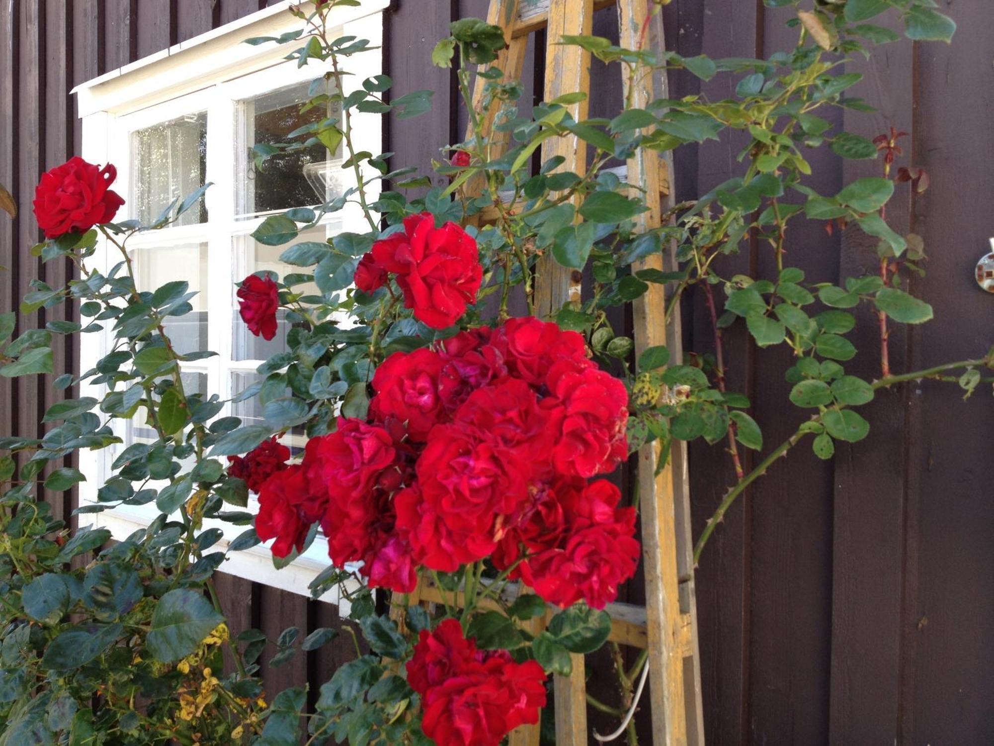 Asa Jutegard Bed & Breakfast Exterior photo